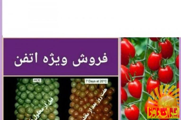 فروش سم اتفن 